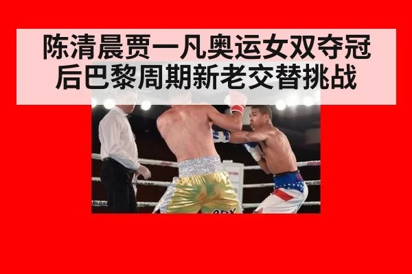 陈清晨贾一凡奥运女双夺冠后巴黎周期新老交替挑战