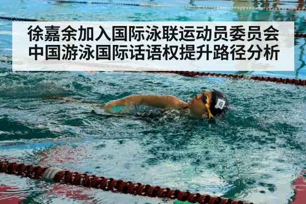 徐嘉余加入国际泳联运动员委员会 中国游泳国际话语权提升路径分析