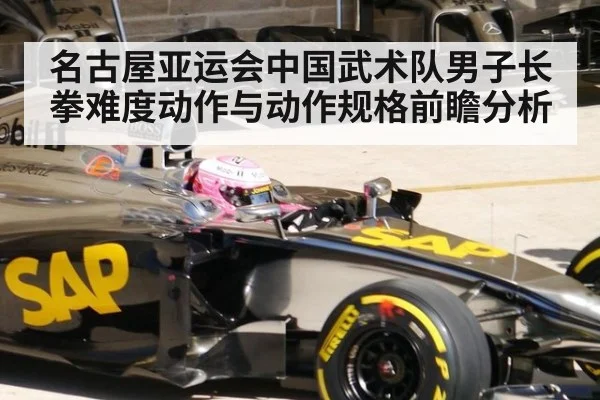 名古屋亚运会中国武术队男子长拳难度动作与动作规格前瞻分析